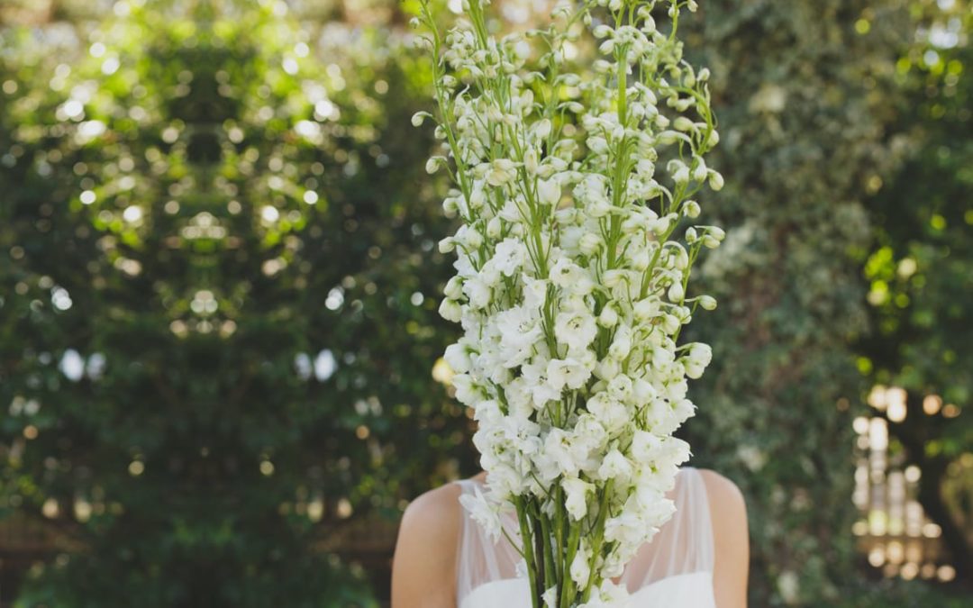 Photographe de mariage – Blog
